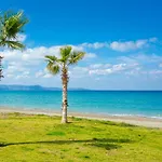 Rose * Paphos